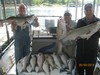 (05/05/2014) - Nice Striped Bass